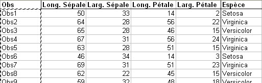 statel discriminant analysis excel