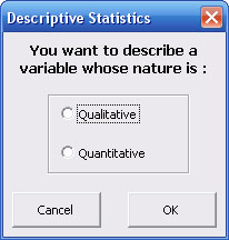 statel descriptive statistics excel